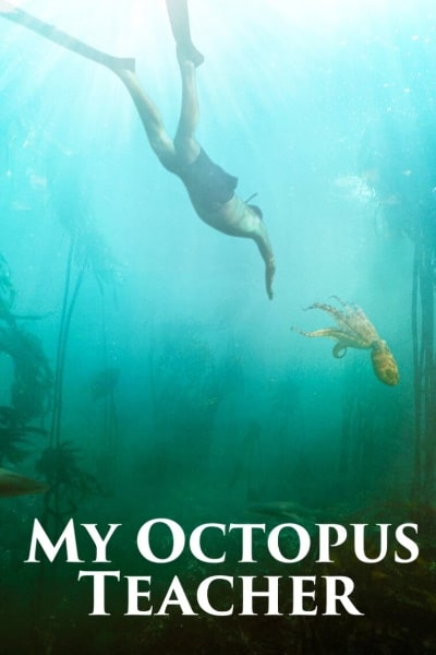 My Octopus Teacher