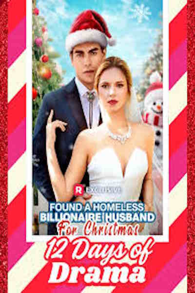 Found A Homeless Billionaire Husband for Christmas - Season 1