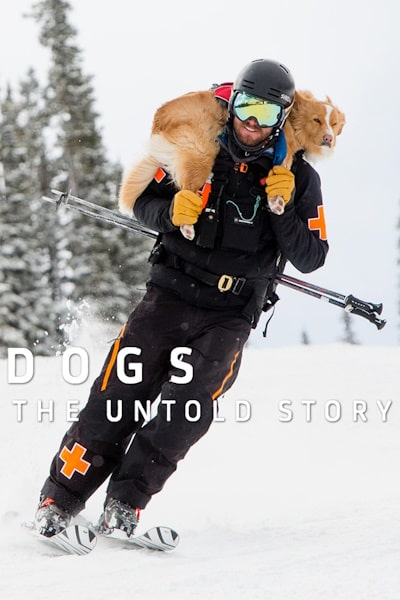 Dogs: The Untold Story - Season 1