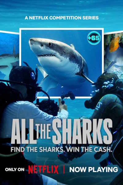 All the Sharks - Season 1