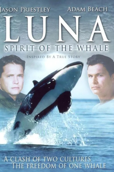 Luna Spirit of the Whale