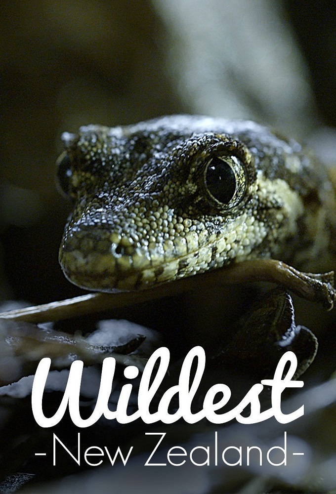 Wildest New Zealand - Season 1